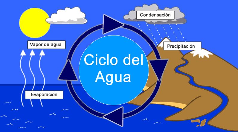 el ciclo del agua para niños